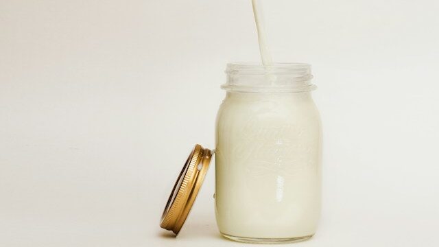 dairy-free protein powder