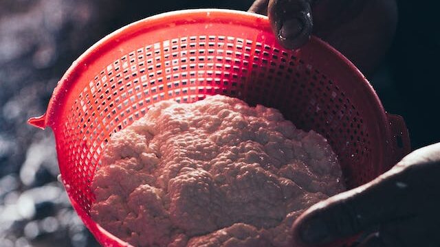 How is Protein Powder Made